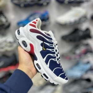 Nike Air Max Plus Psg